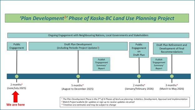 Plan development phase timeline